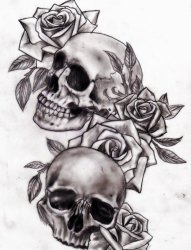 黑灰色玫瑰花和骷髅头纹身图片手稿
