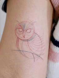 女性手臂上清新的线条猫头鹰纹身图片