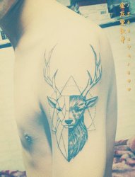 鹿头纹身 金左堂纹身 盖疤痕 修改纹身 安阳纹身 水冶纹身