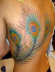 漂亮的大孔雀羽毛纹身图案