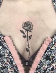 漂亮的黑色带刺玫瑰花纹身图案
