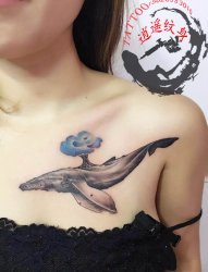 女生胸部鲸鱼纹身图片