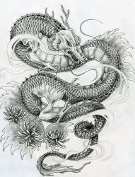 一张帅气的龙纹身图案手稿素材