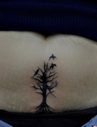 腹部小树和小鸟纹身