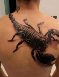 男性背部威猛帅气的蝎子纹身图案