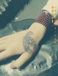蝎子纹身 金左堂纹身盖疤痕修改纹身 安阳纹身 水冶纹身