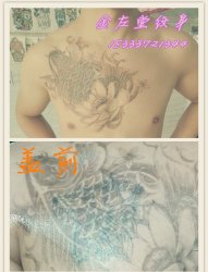 鱼纹身 金左堂纹身盖疤痕修改纹身 安阳纹身 水冶纹身