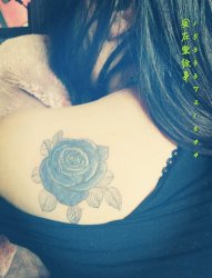 小清新纹身 蓝玫瑰纹身 金左堂纹身盖疤痕修改纹身 安阳纹身 水冶纹身 ​