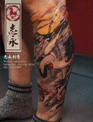 小腿鹤纹身，新浦纹身店，新浦刺青店，远航纹身