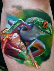 多款超逼真的现实主义风格彩色青蛙纹身图案