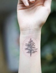 微小的动植物纹身图案女生小清新植物纹身来自南多