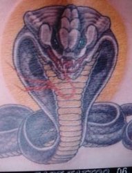 蛇纹身图片，后背蛇纹身，江都纹身店，江都有名的纹身店