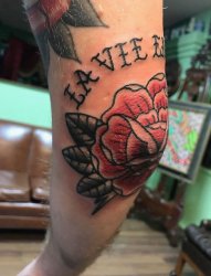 手臂弯上黑色英文字母和红色玫瑰花纹身图片