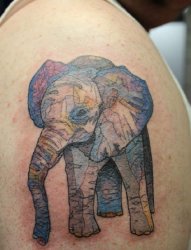 男性右手臂上大象纹身动物纹身图片