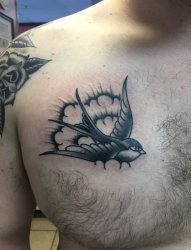 男性胸部上的黑色飞翔中的燕子纹身图片