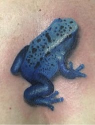 可爱的蓝色3D箭毒蛙纹身图片