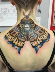 美女后颈部彩色的飞蛾纹身动物图片