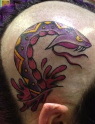 中国传统纹身动物彩色老鹰纹身眼镜蛇纹身图案