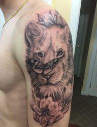 男性手臂素描纹身动物狮子头纹身和蝴蝶纹身图片
