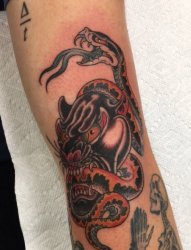 手臂上的传统风格豹子咬蛇纹身图片