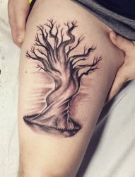 女性右大腿上黑色简易纹身素描树纹身图片