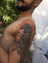 男性左手臂上彩色老鹰纹身动物图片