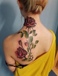 美女蝴蝶骨纹身鲜艳的植物藤彩色纹身玫瑰花图案