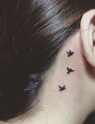 女性黑色动物纹身轮廓鸟纹身的图案