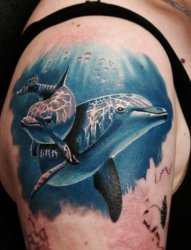 多款可爱的蓝色的现实主义风格纹身海豚纹身动物图案