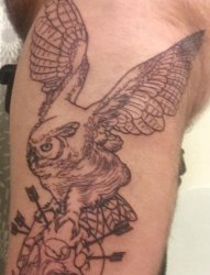 手臂上的黑灰色猫头鹰抓着箭刺骷髅头图案纹身
