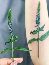 女生喜欢的小清新植物纹身图案
