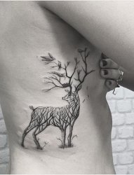 创意线条纹身简洁动物图案纹身