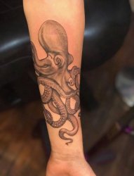手臂上纹身黑白灰风格点刺纹身几何元素纹身黑色章鱼纹身动物纹身图片