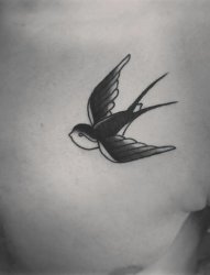 男生胸部纹身黑白灰风格纹身点刺技巧简单线条纹身燕子纹身动物图片