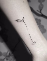 一组女生黑白纹身点刺技巧简约线条纹身植物纹身素材花朵纹身图案