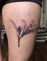 女生大腿上纹身黑白灰风格纹身点刺技巧植物纹身素材花朵纹身图片