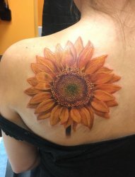 女生肩部彩绘纹身技巧简约线条纹身小清新植物纹身向日葵纹身图片