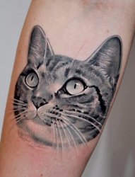 一组纹身黑白灰风格简约线条纹身小动物纹身图案大全