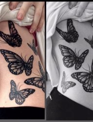 女生侧腰上黑白点刺技巧小动物几何元素蝴蝶纹身图片