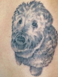 手臂上黑白点刺技巧可爱动物小狗纹身图片