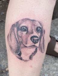 小腿上黑白线条点刺技巧动物小狗纹身图片