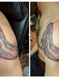 男生手臂上点刺技巧动物鲸鱼纹身图片