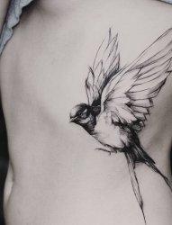 黑白素描技巧动物小鸟小燕子纹身图案
