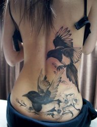 一组女生腰上创意个性唯美纹身图案