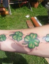 女生手臂上绿色水彩植物四叶草纹身图片