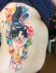 一组关于彩绘水彩文艺小清新小猫纹身图案