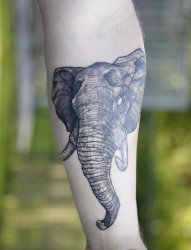 男生手臂上黑色素描创意动物大象纹身图片