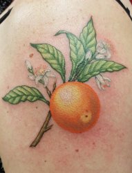 女生手臂上彩绘技巧植物素材香橙树枝纹身图片