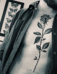 男生胸部黑灰点刺技巧植物素材玫瑰纹身图片
