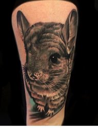 多款机灵的彩绘小动物简约线条老鼠纹身图案